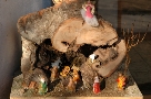 Piccolo Presepe ad una porta