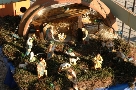 Presepe in una conca
