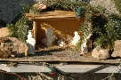 Piccolo Presepe 