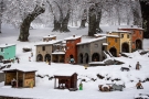 Il Presepe con la neve