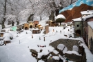Il Presepe e le selva innevati