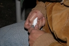 Intaglio galline