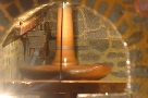 La ritrecine 
