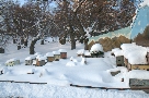 Panoramica con la neve