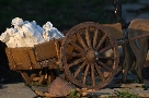 Particolare del carro