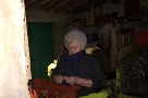 Soci al lavoro, Ines
