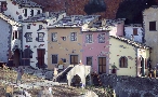 Fila di case
