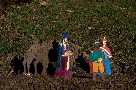 Magi