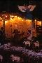 Nativit di notte