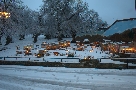 Neve