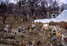 Panoramica